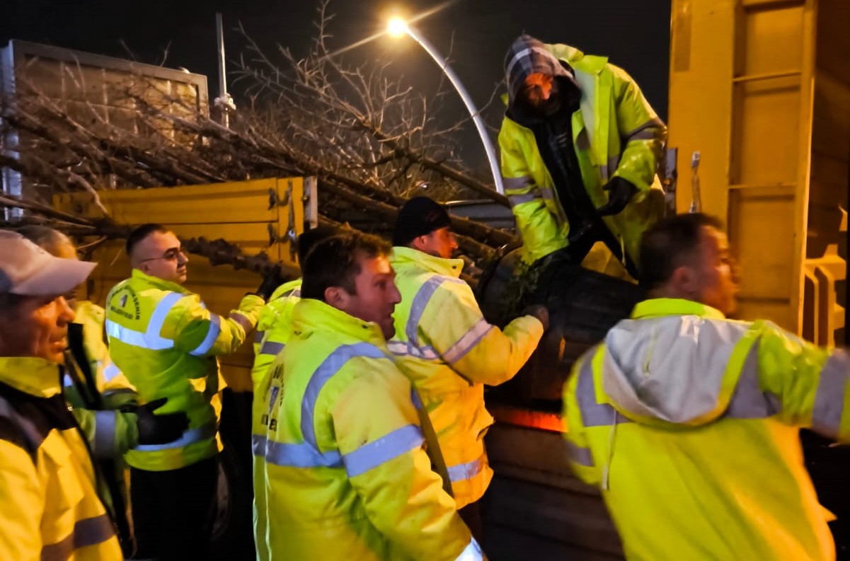 KAVAKLIDEREDE AĞAÇ DİKİMİ BAŞLADI