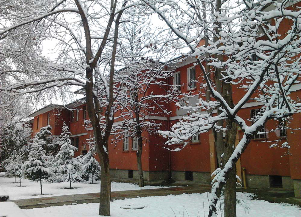 KAVAKLIDEREM DERNEĞİ TEZCAN KARAKUŞ CANDAN İLE KENT YÜRÜYÜŞLERİNDE